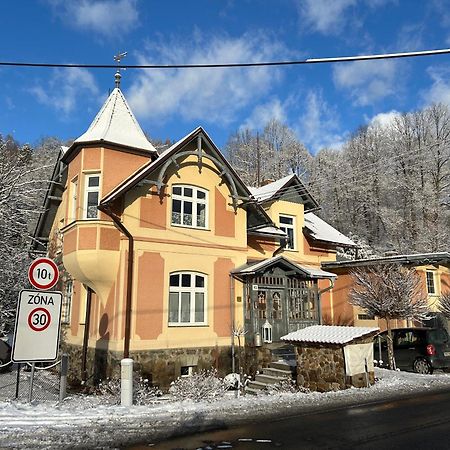 Apartmany Villa Magnolie Lipová-lázně Esterno foto