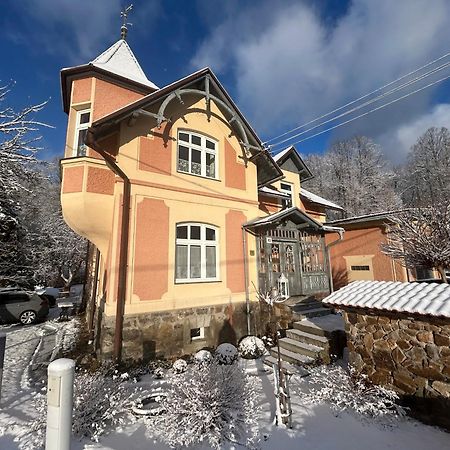 Apartmany Villa Magnolie Lipová-lázně Esterno foto