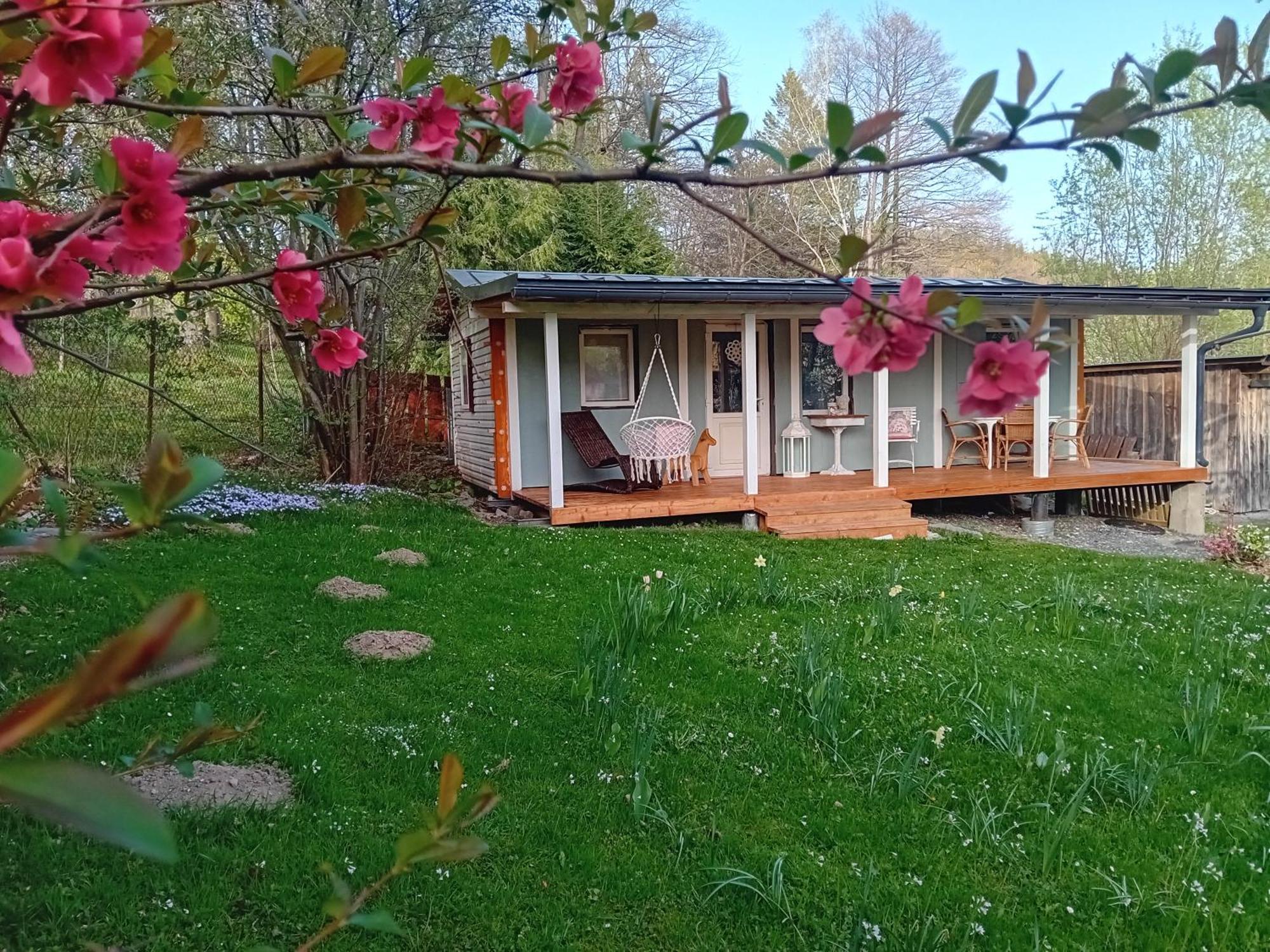 Apartmany Villa Magnolie Lipová-lázně Esterno foto